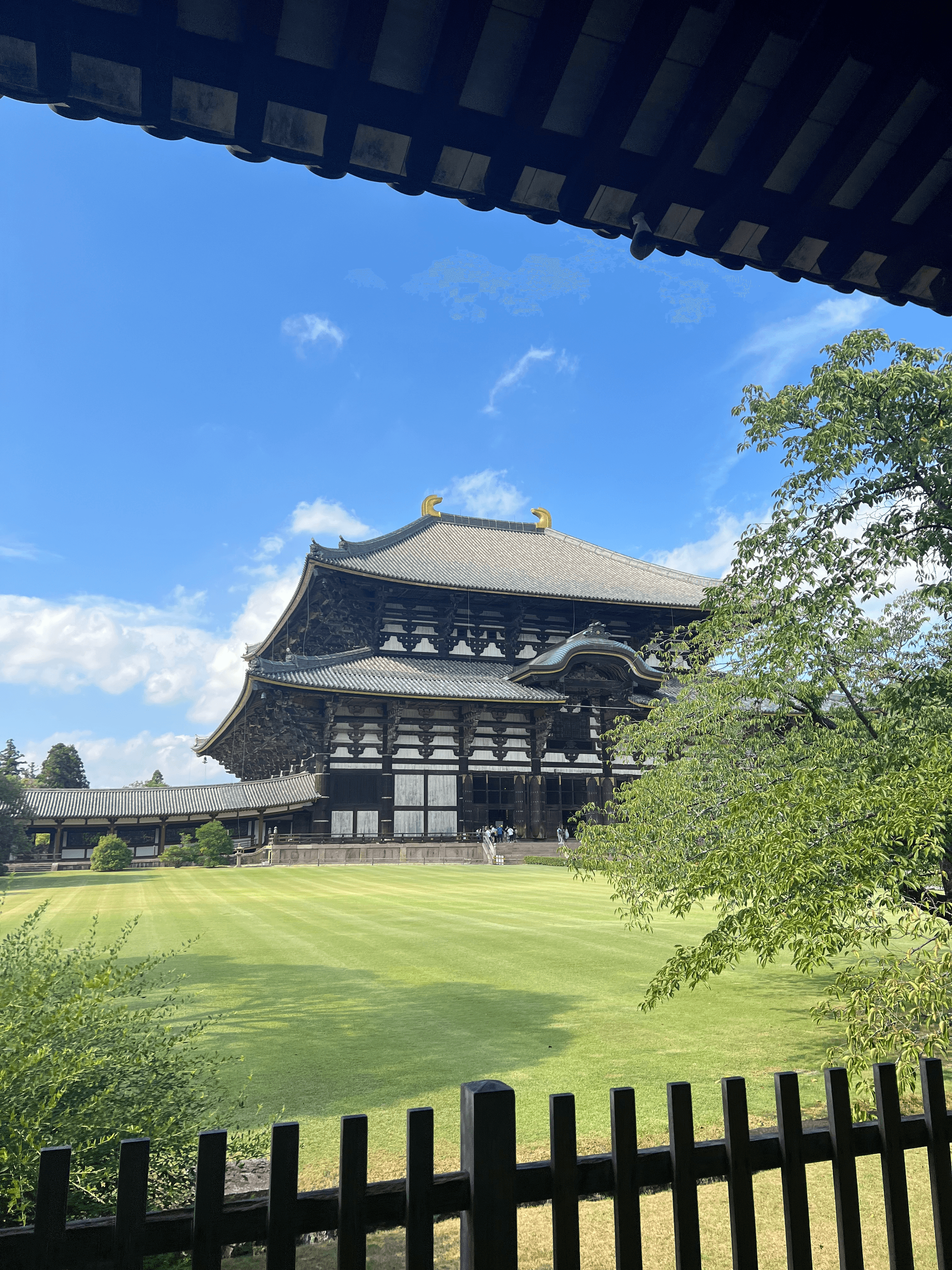Nara Park, Japan, 2025