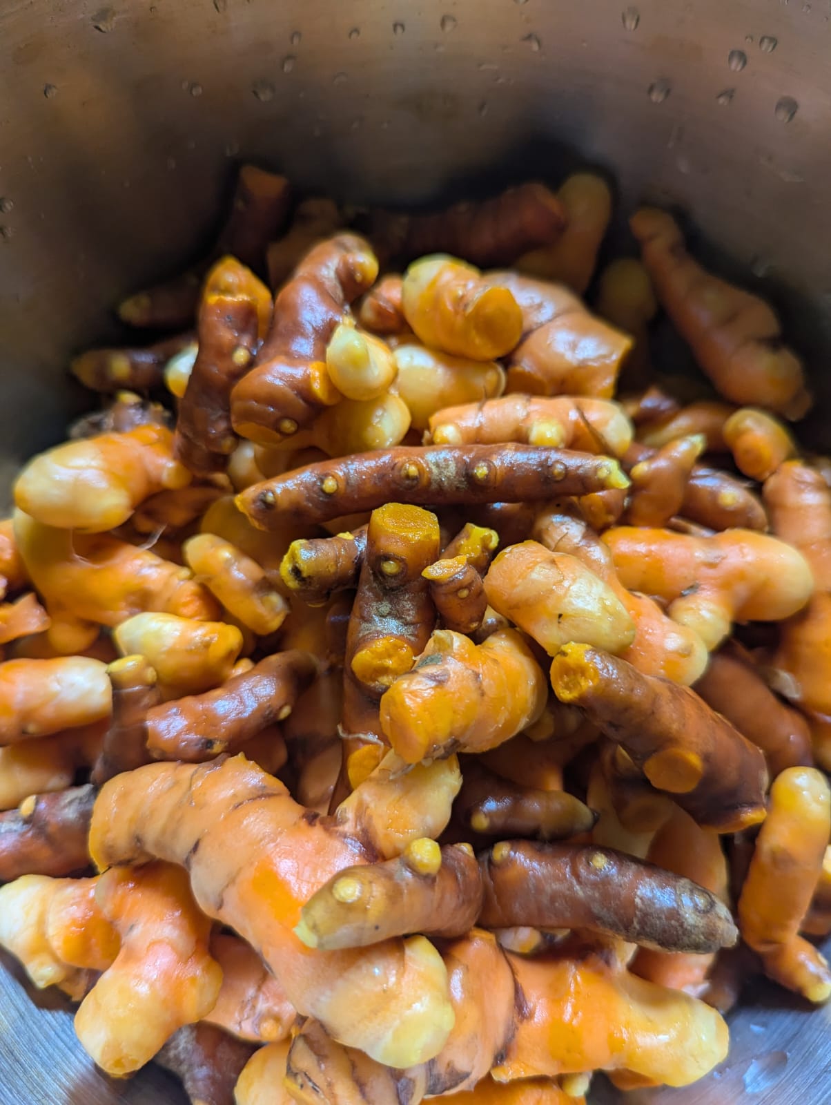 Nature Island Herbal and Wellness Teas's image