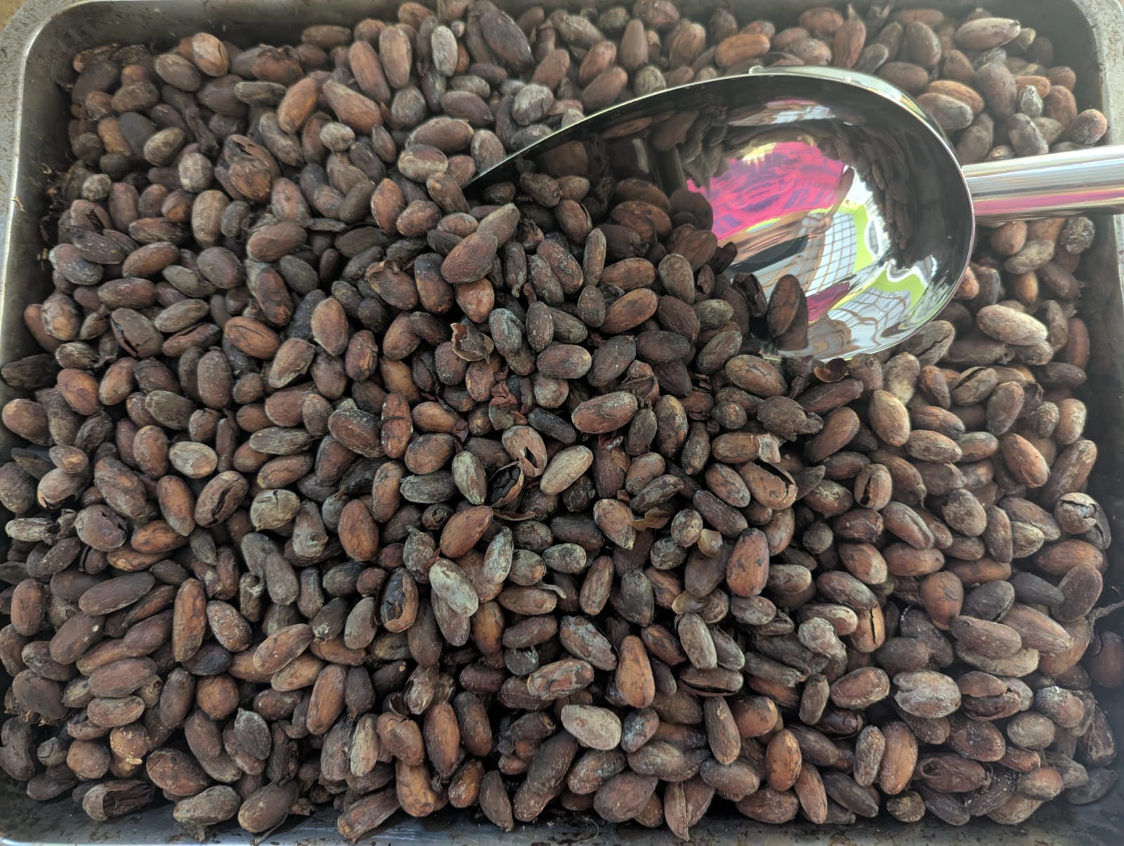 Nature Island Herbal and Wellness Teas's image