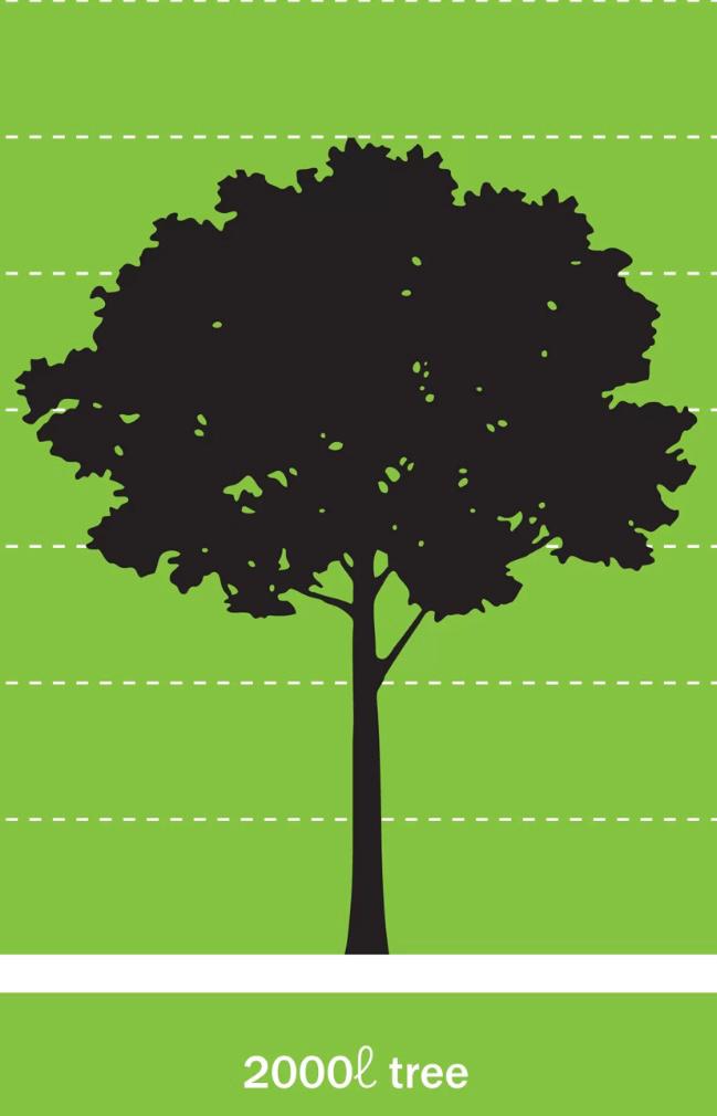 Ecogifts 1001's image