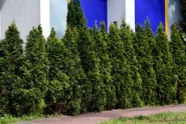 Ecogifts 1001's image