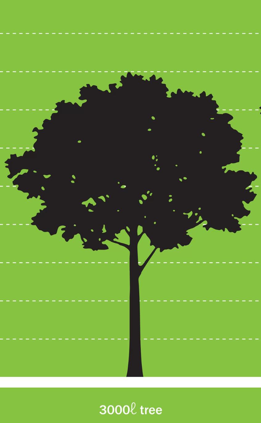 Ecogifts 1001's image