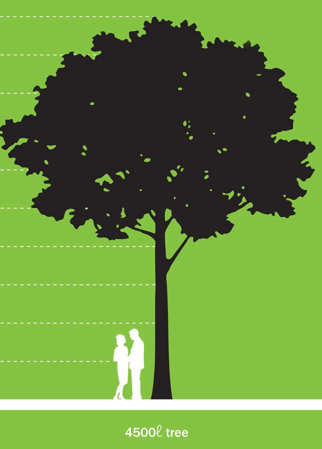 Ecogifts 1001's image