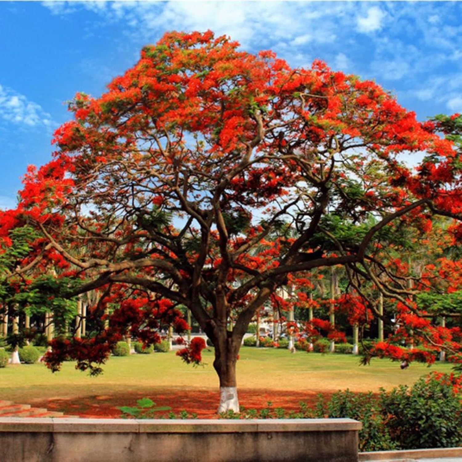 Ecogifts 1001's image