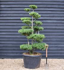 Ecogifts 1001's image