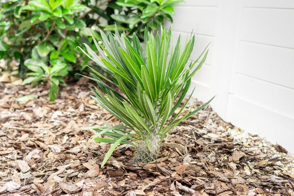 Ecogifts 1001's image