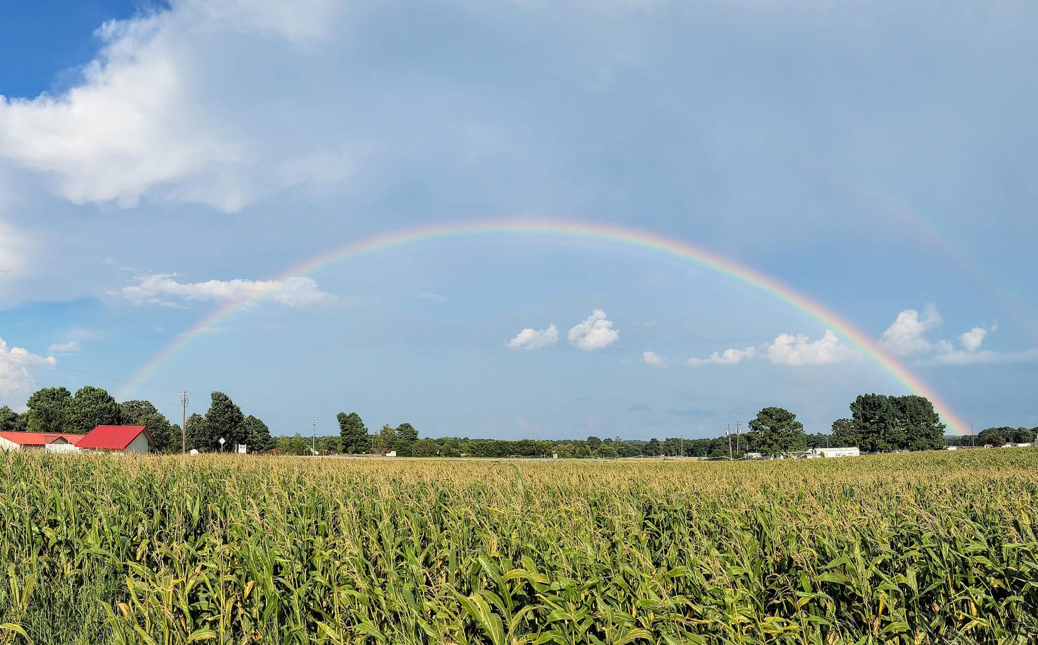 Connections and Reflections's image