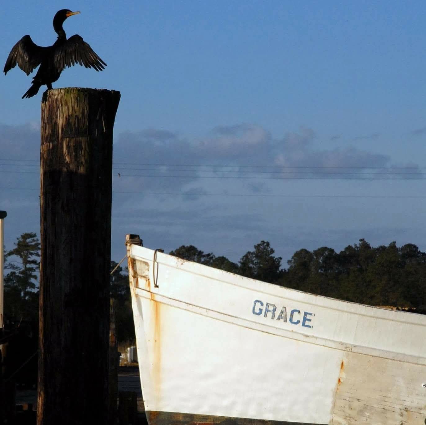 Connections and Reflections's image