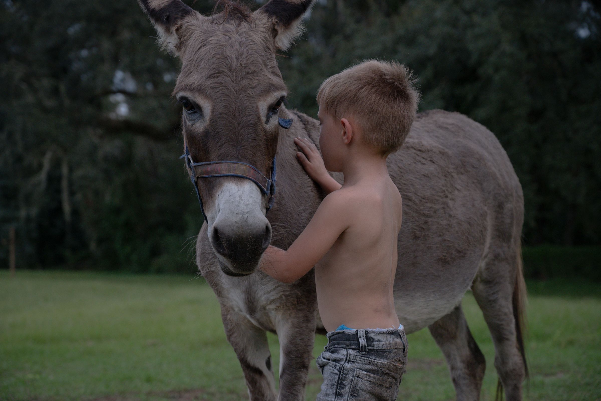 Candid by Cali's image