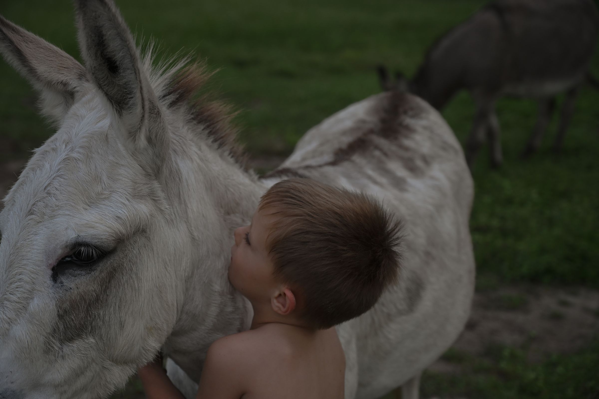 Candid by Cali's image