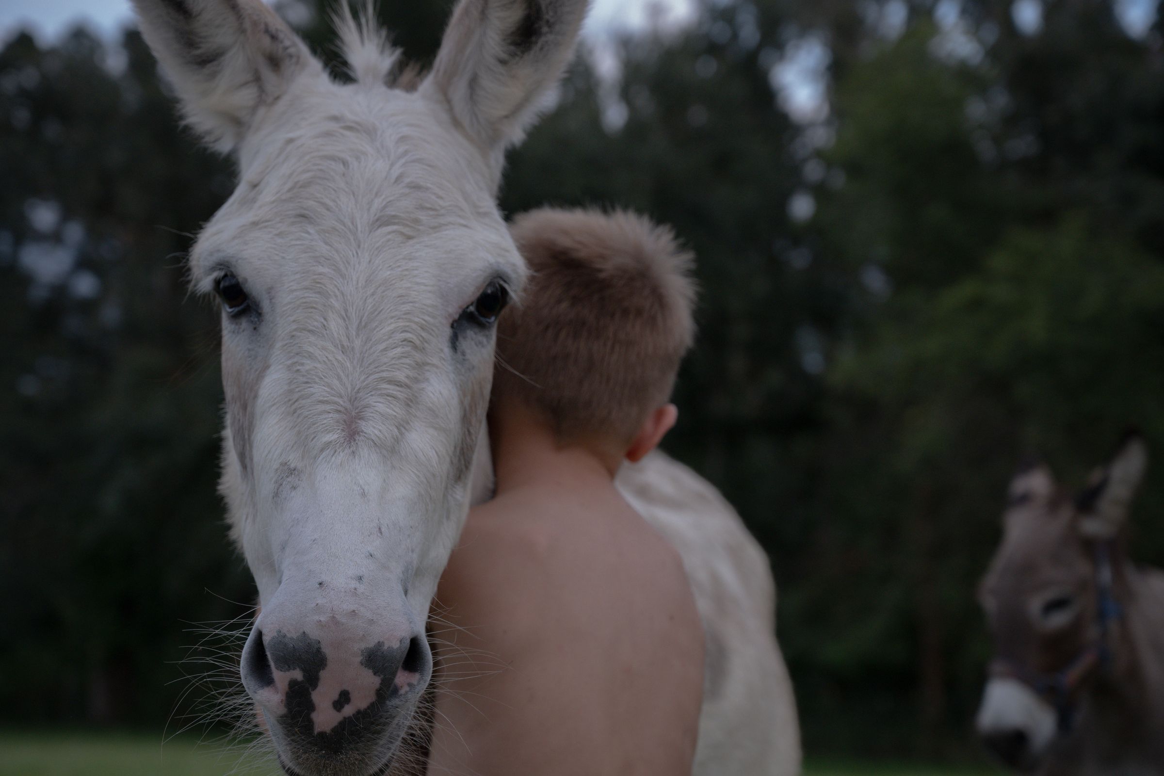 Candid by Cali's image