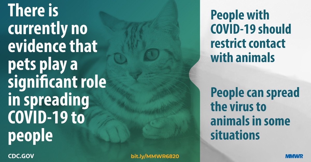 All About Amy McEver's image