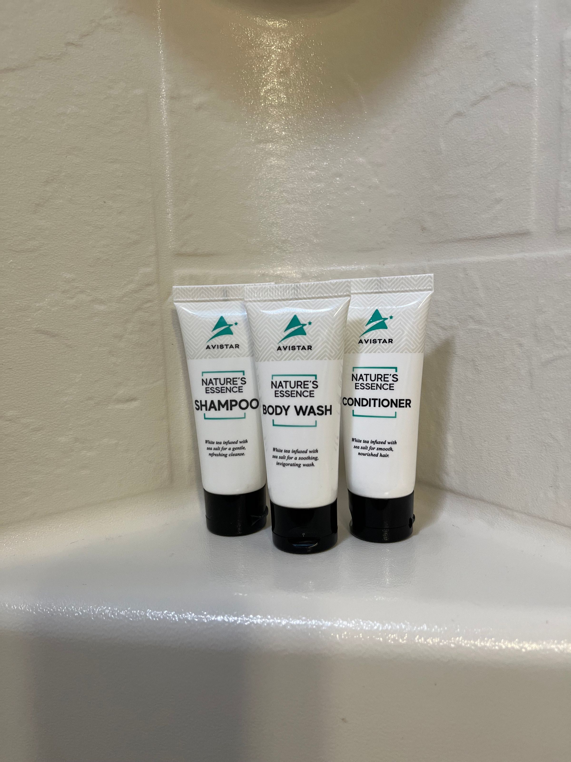 rvcamperrentalsllc.com's image