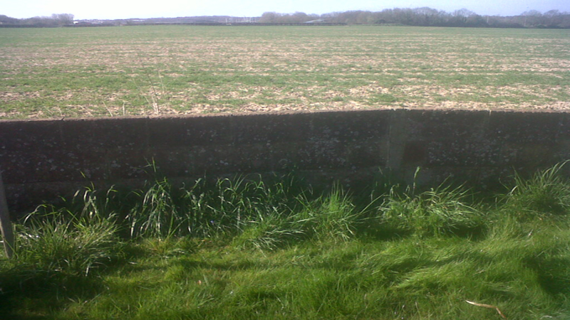 gt building and plumbing's image