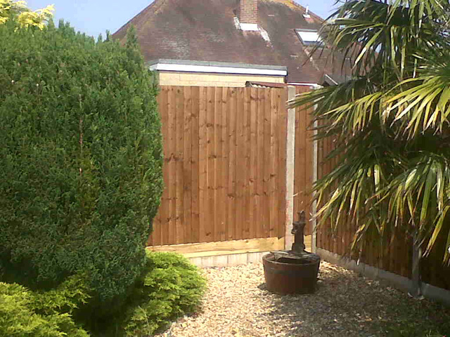 gt building and plumbing's image