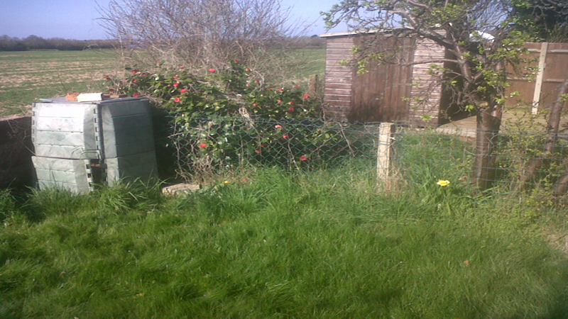 gt building and plumbing's image