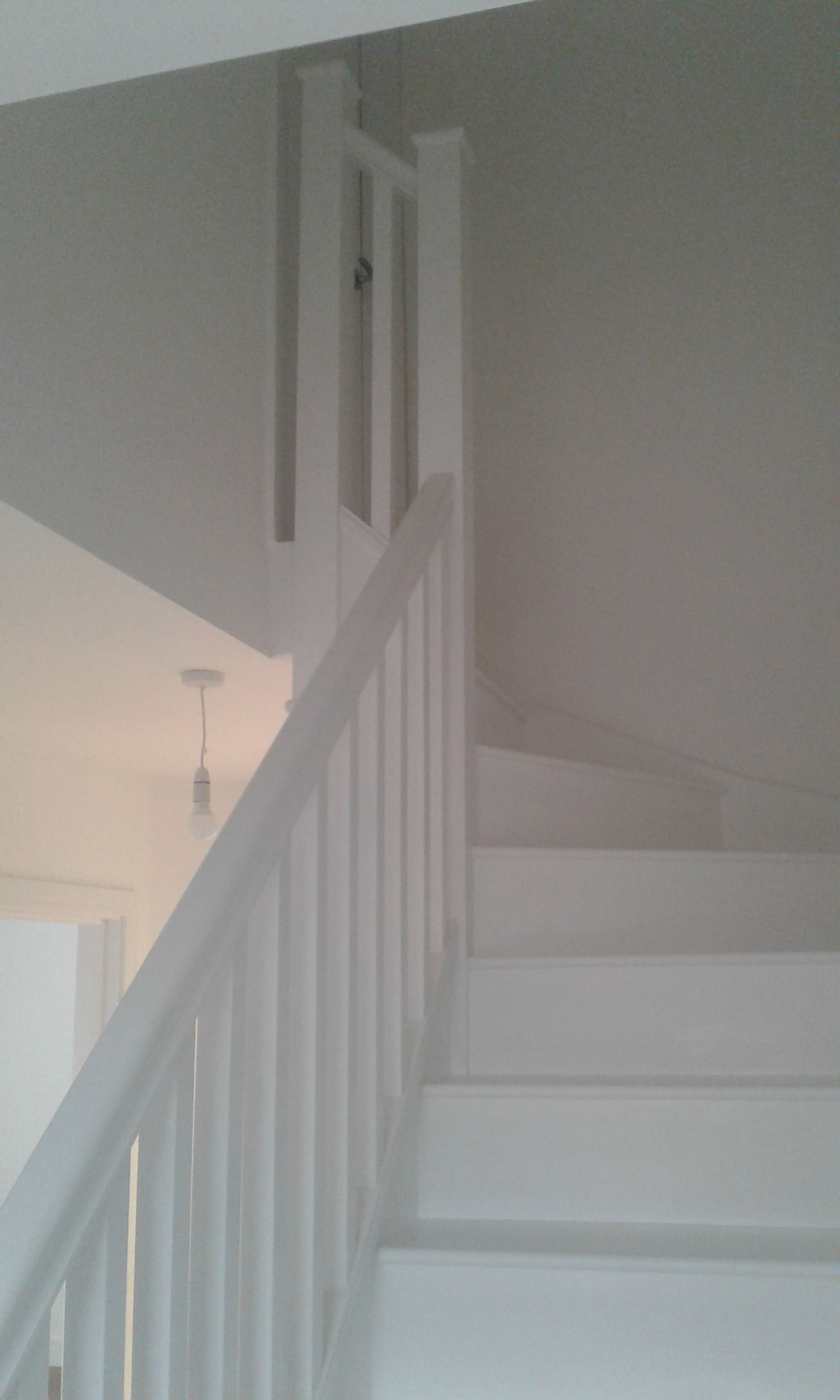 gt building and plumbing's image