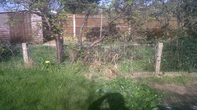 gt building and plumbing's image