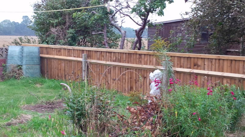 gt building and plumbing's image