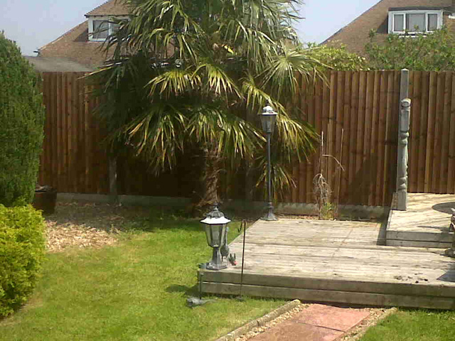 gt building and plumbing's image