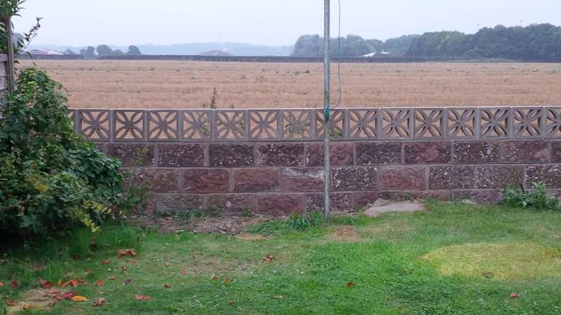 gt building and plumbing's image