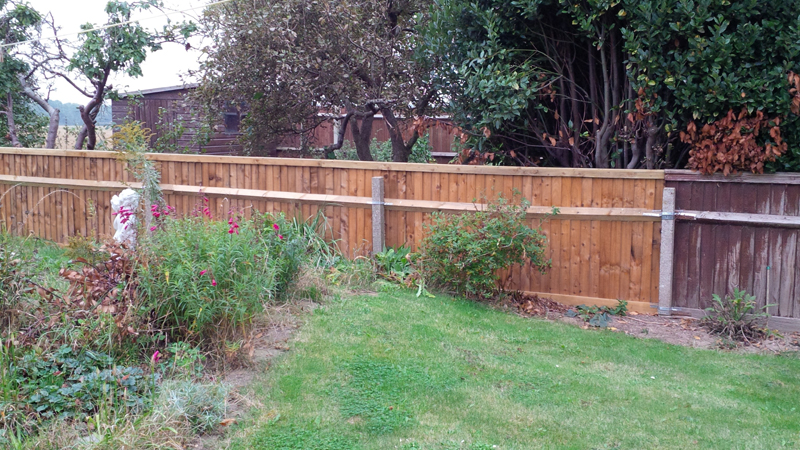 gt building and plumbing's image