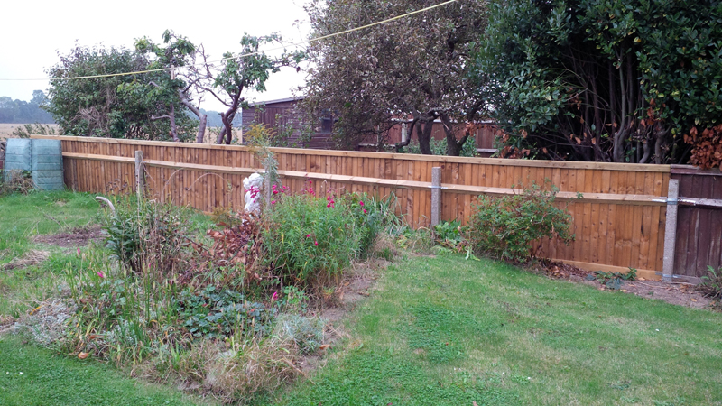 gt building and plumbing's image