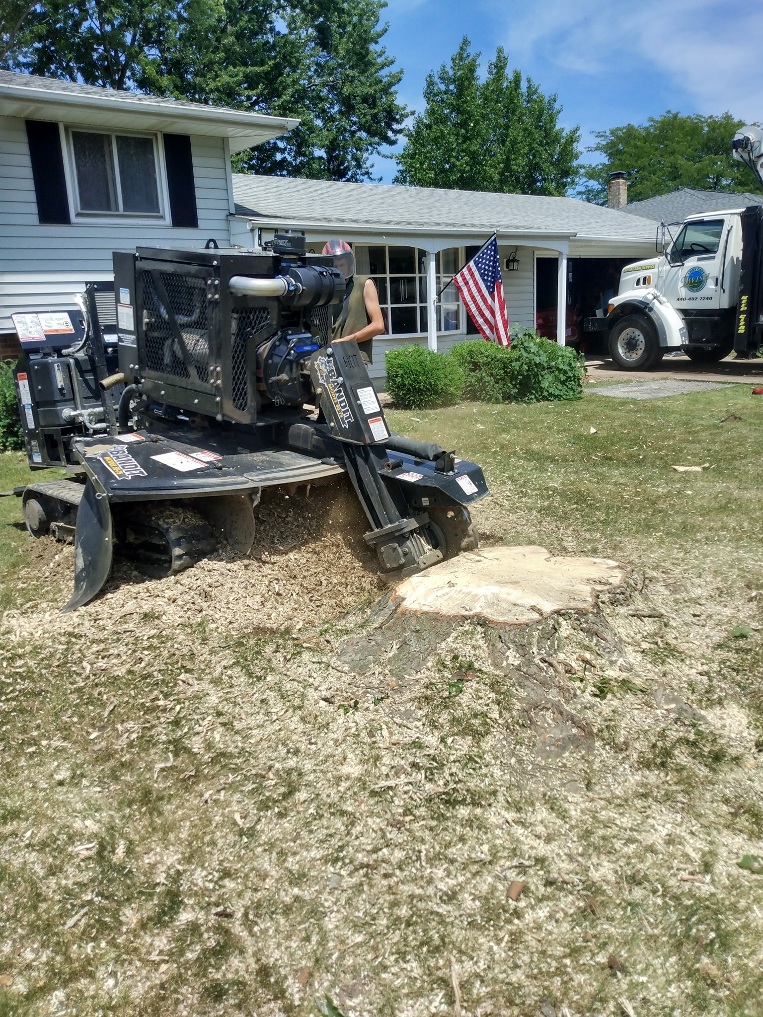 Lavish Tree Services's image