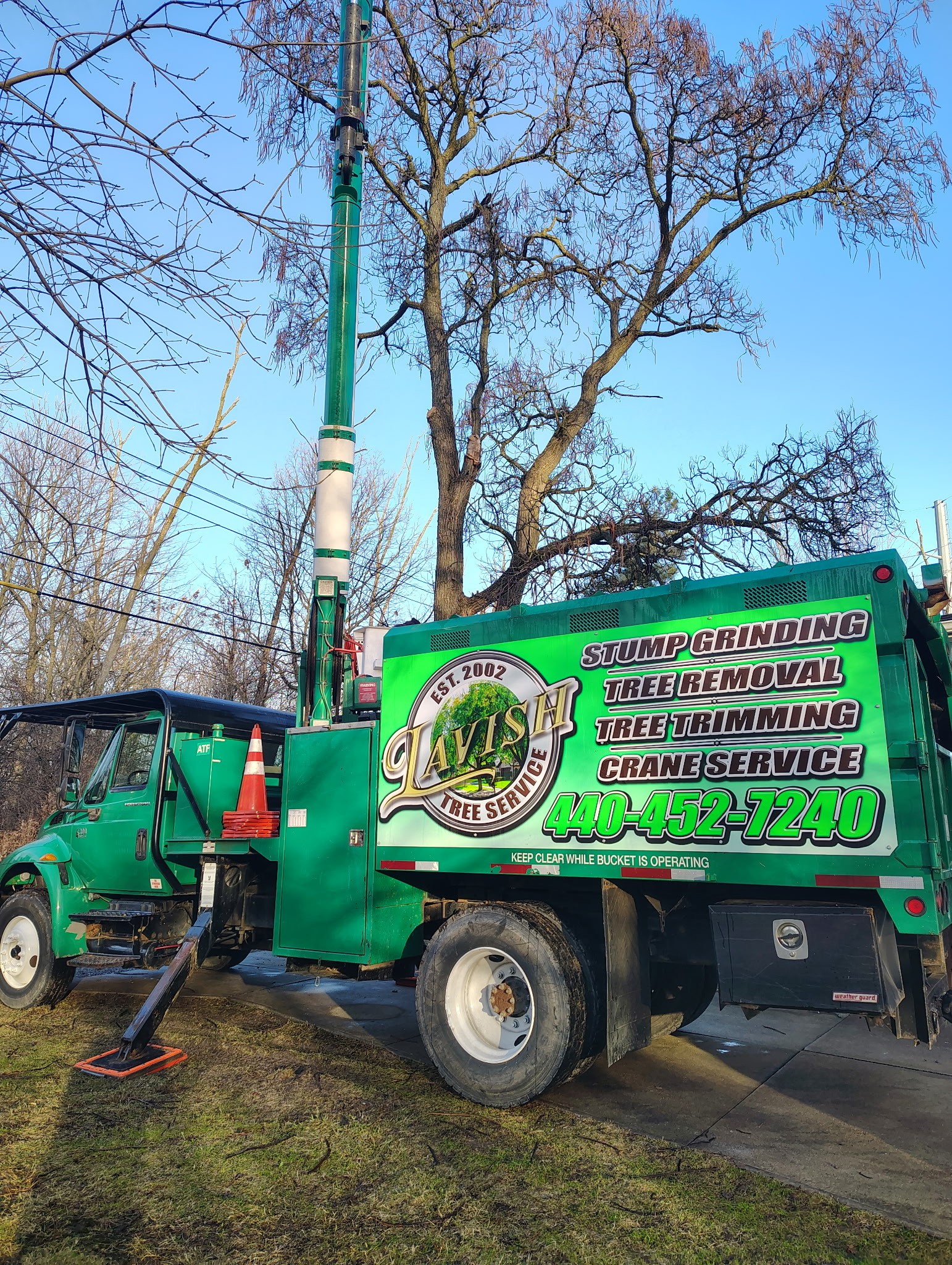 Lavish Tree Services's image