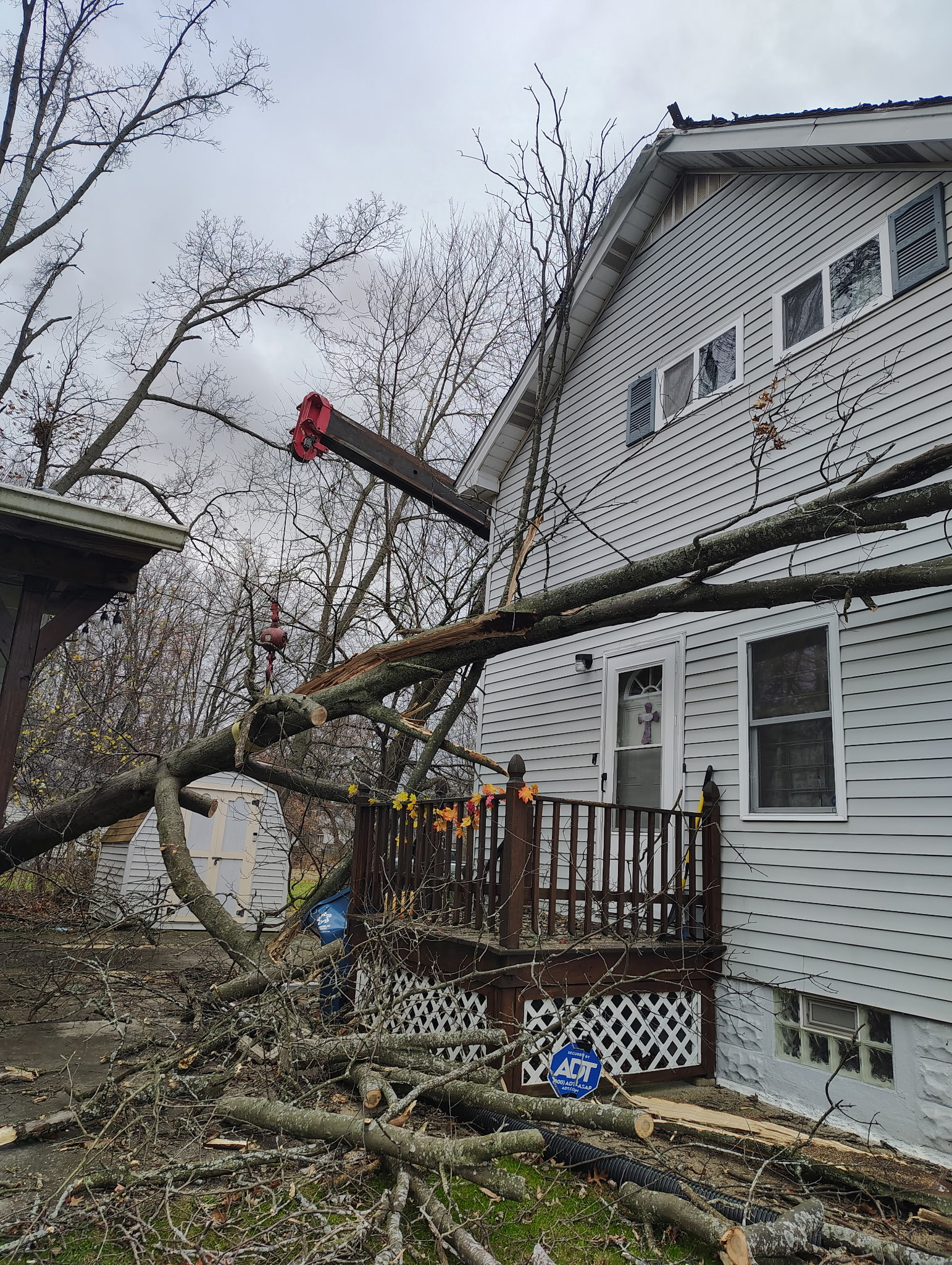 Lavish Tree Services's image