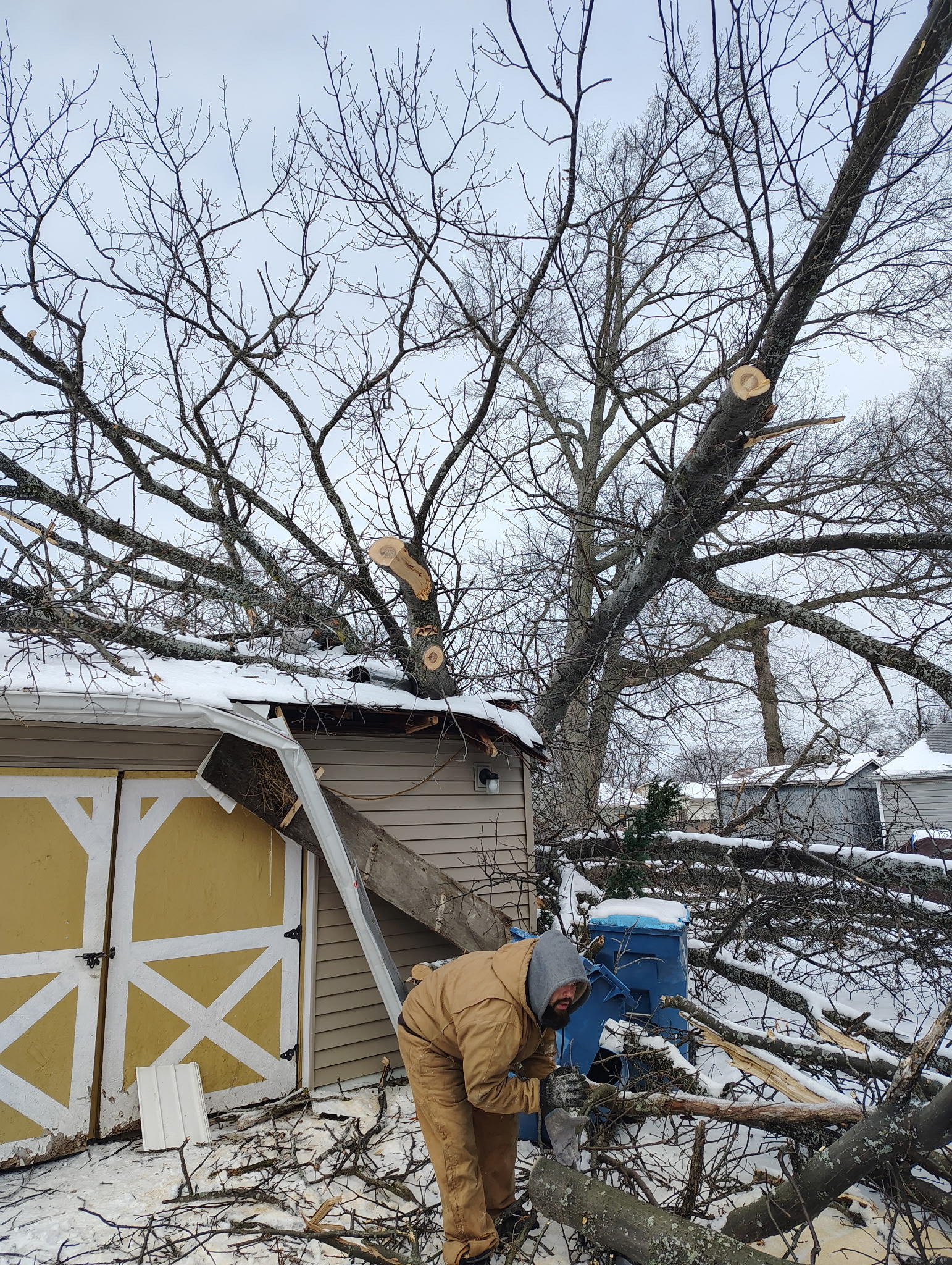 Lavish Tree Services's image