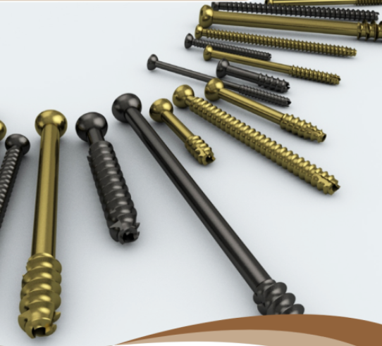 Cannulated Screw