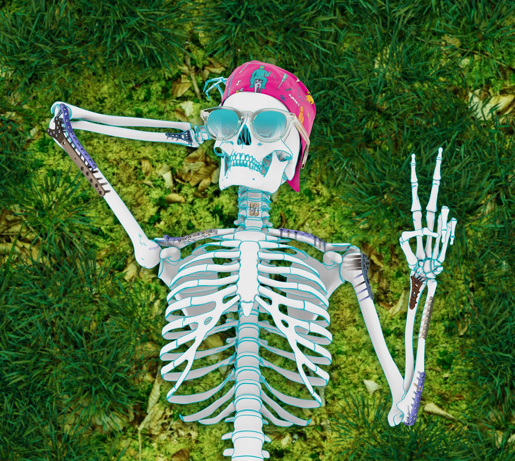 Medical Implants Namibia - Willem Smit's image