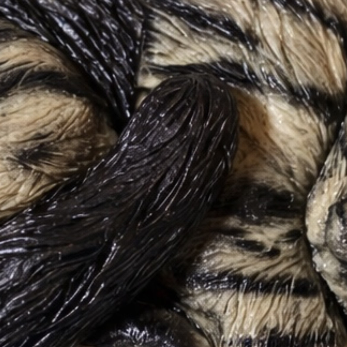 Dayne Joseph | UK Hyper-Realistic Sculpted Cake Artist's image