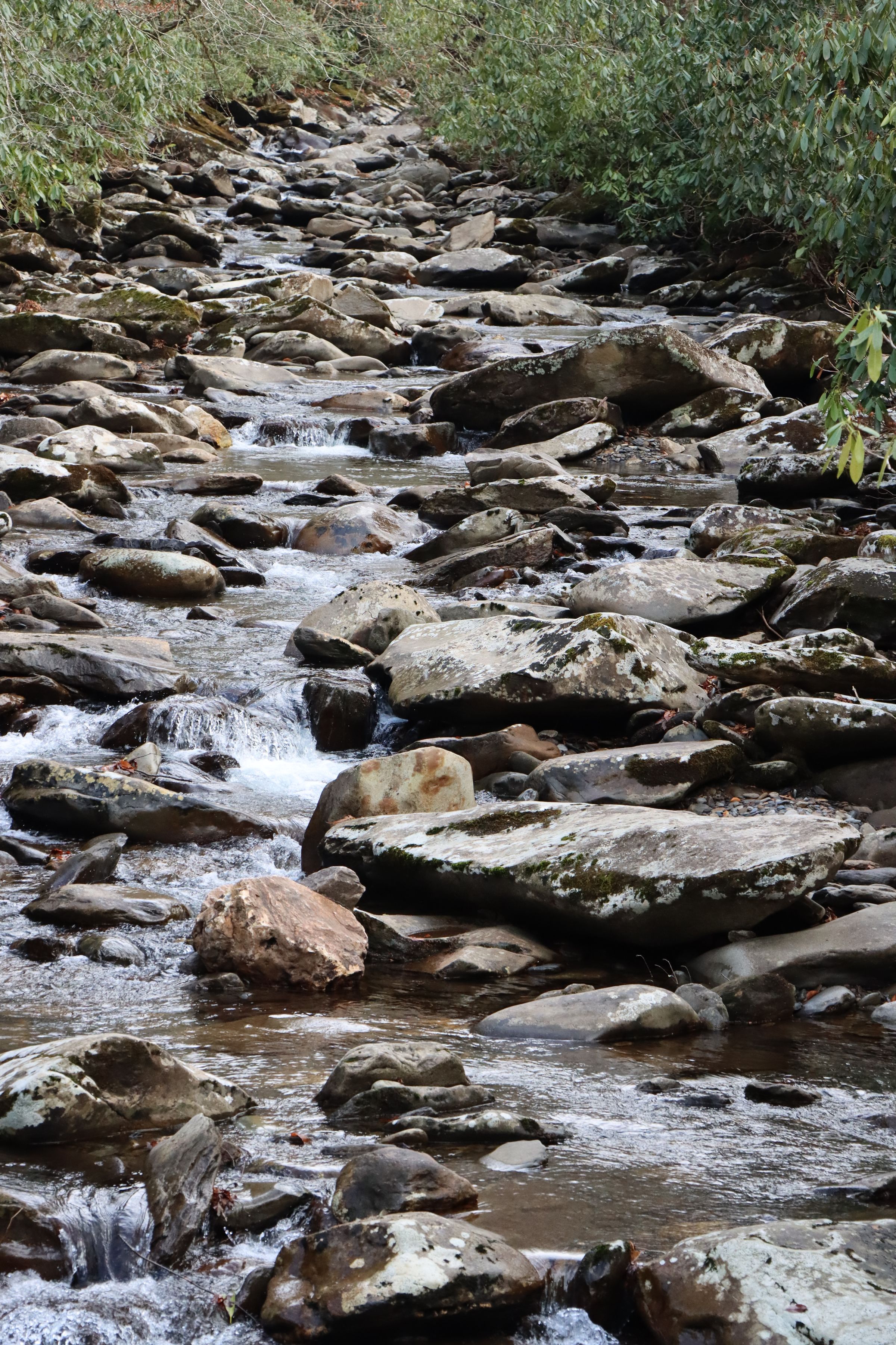 Crystal's Photo Studio's image