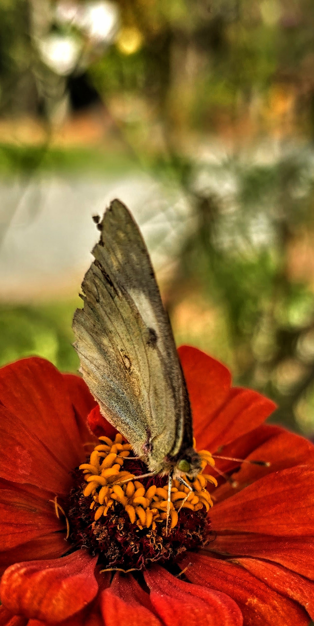 Crystal's Photo Studio's image