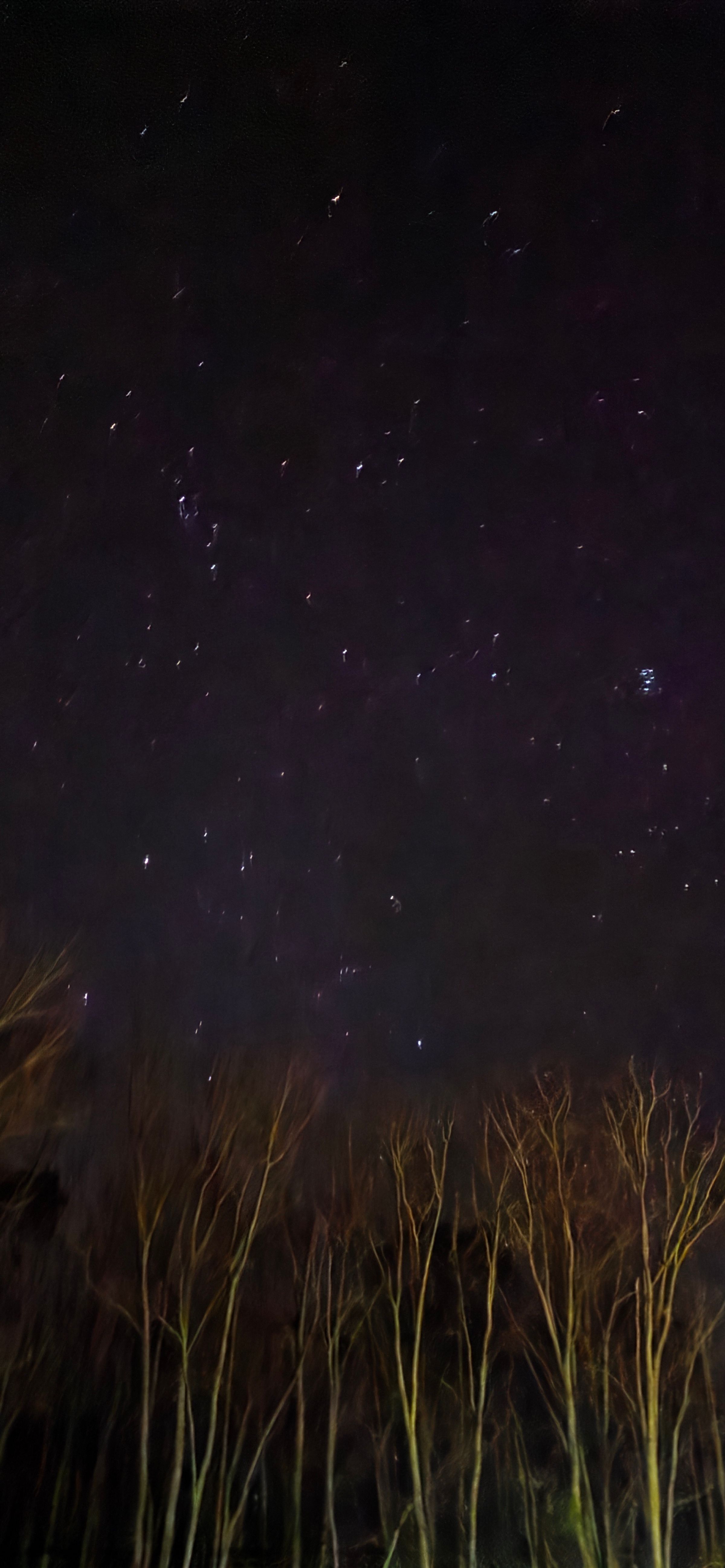 Crystal's Photo Studio's image