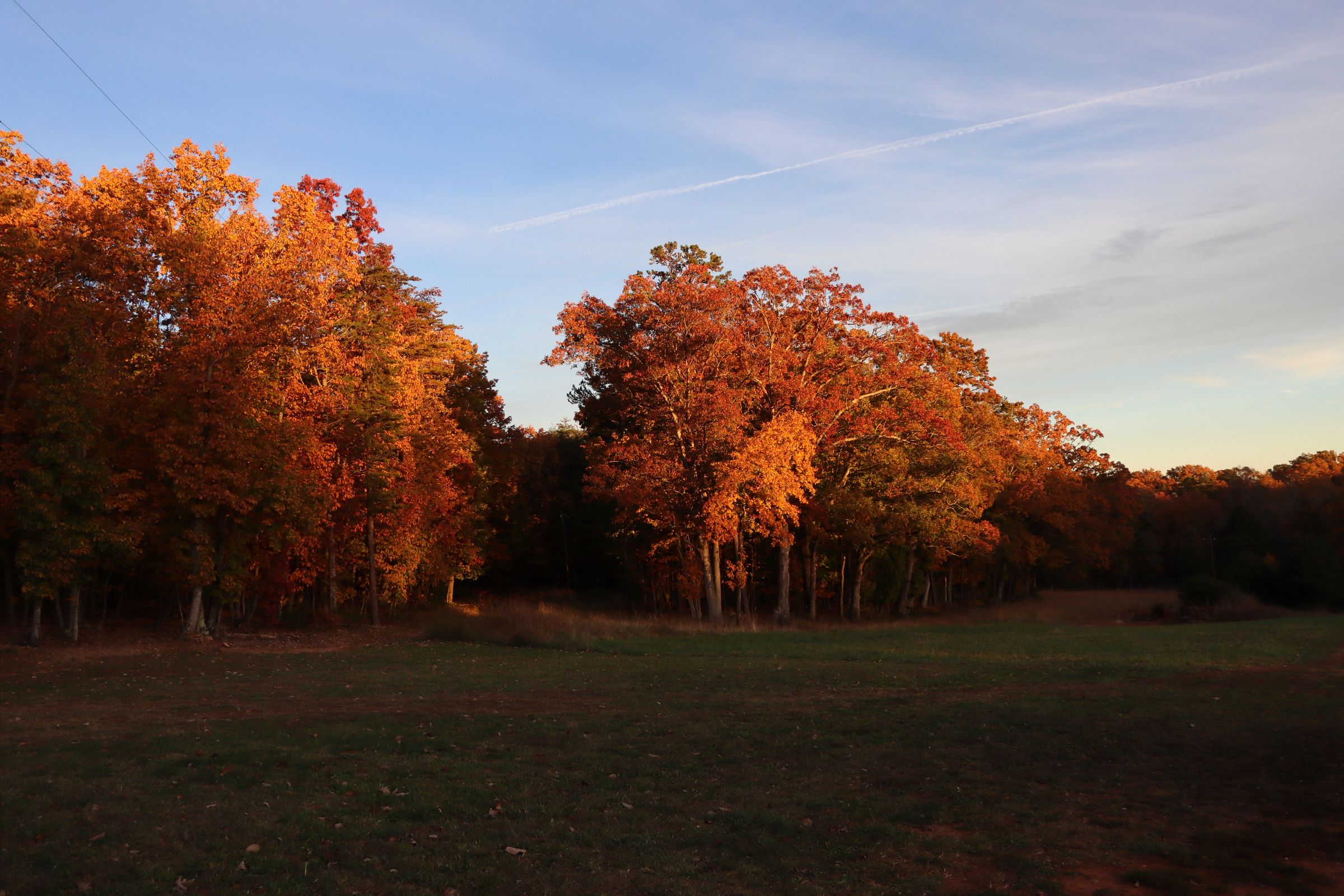 Crystal's Photo Studio's image