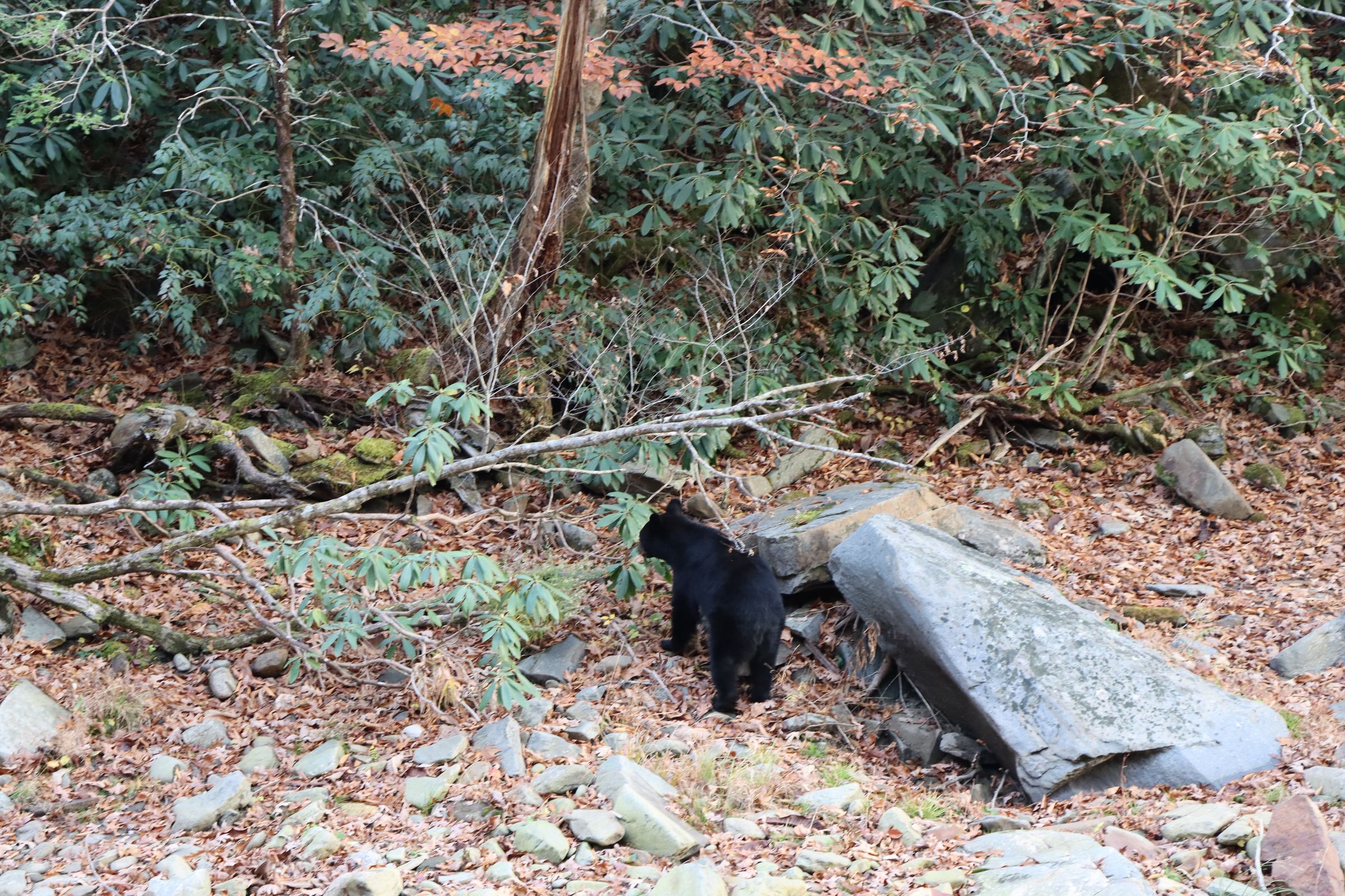 Crystal's Photo Studio's image