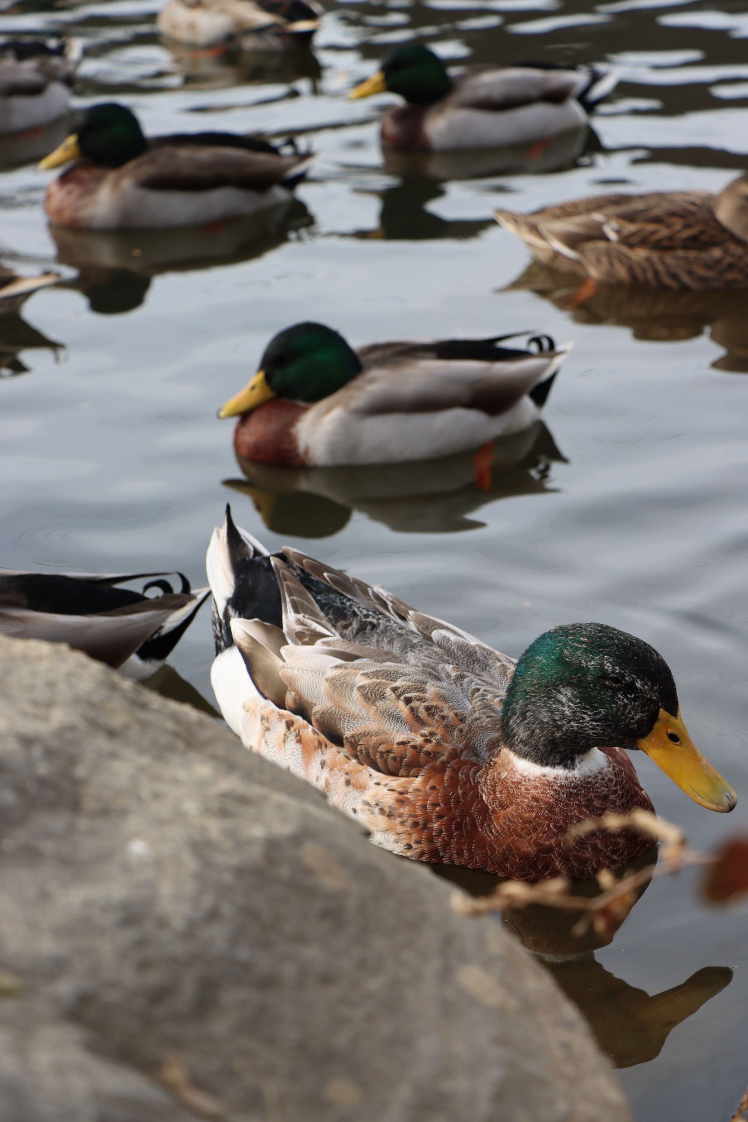 Crystal's Photo Studio's image