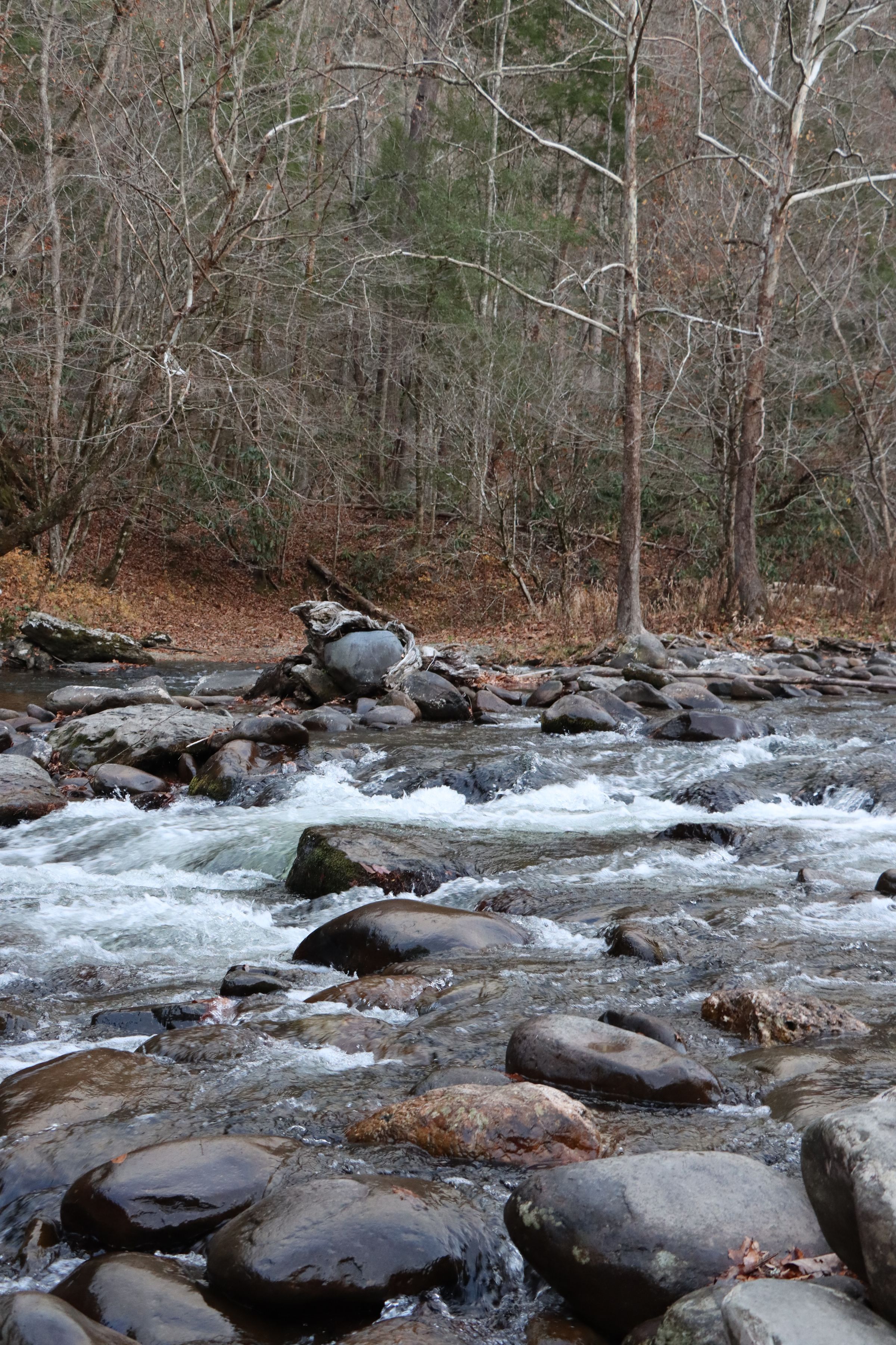 Crystal's Photo Studio's image