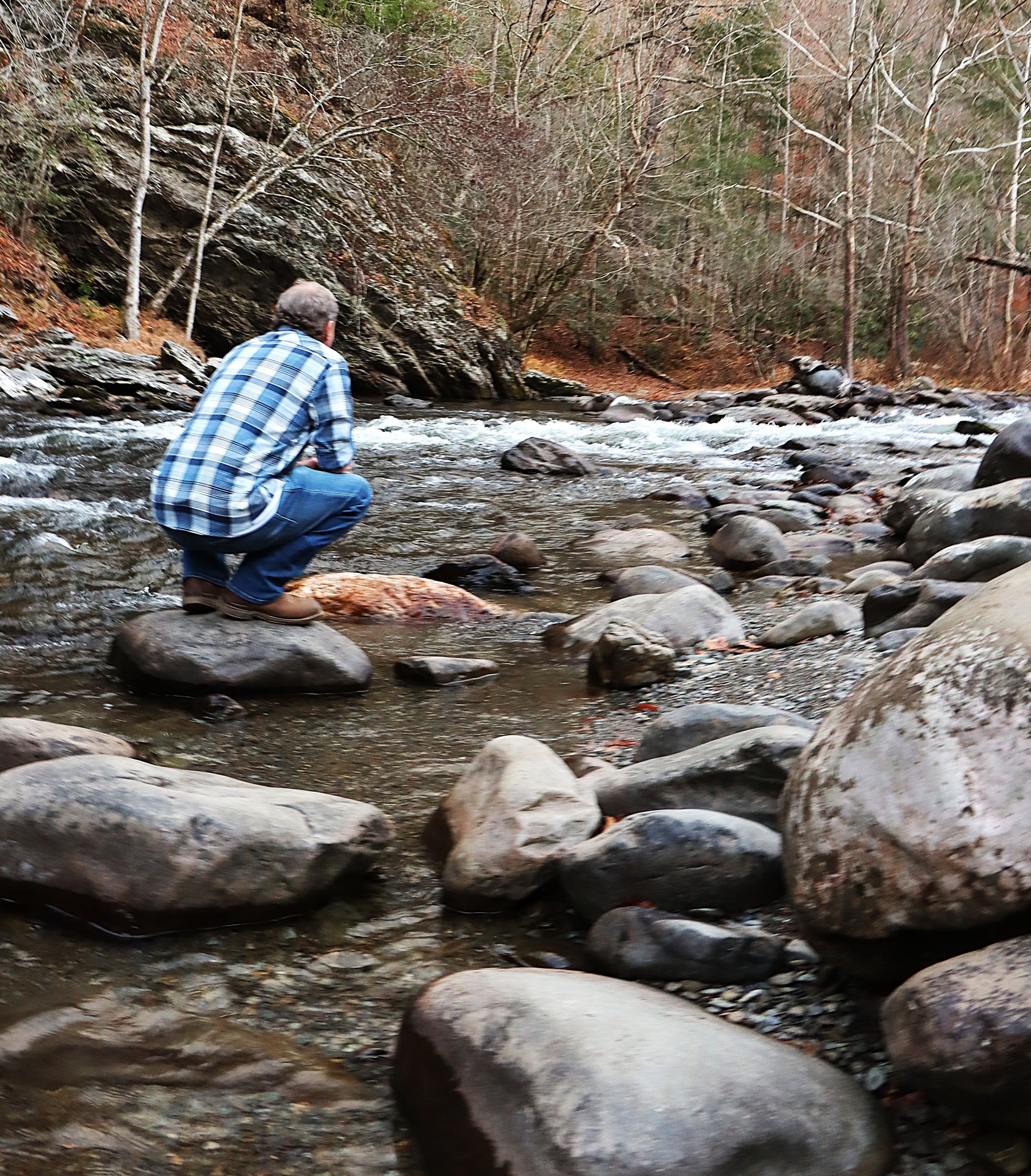 Crystal's Photo Studio's image