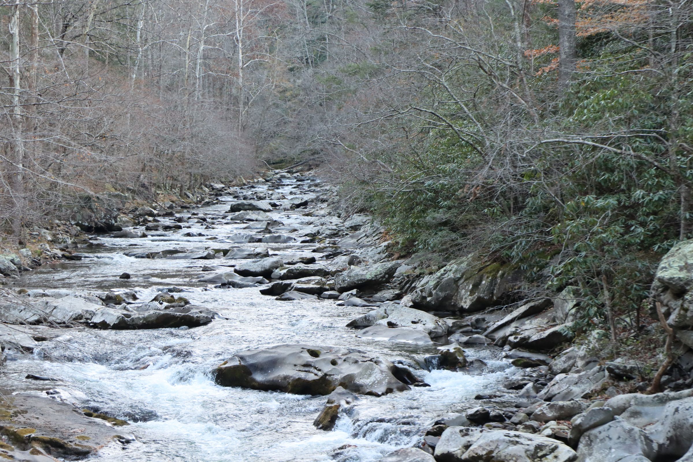 Crystal's Photo Studio's image