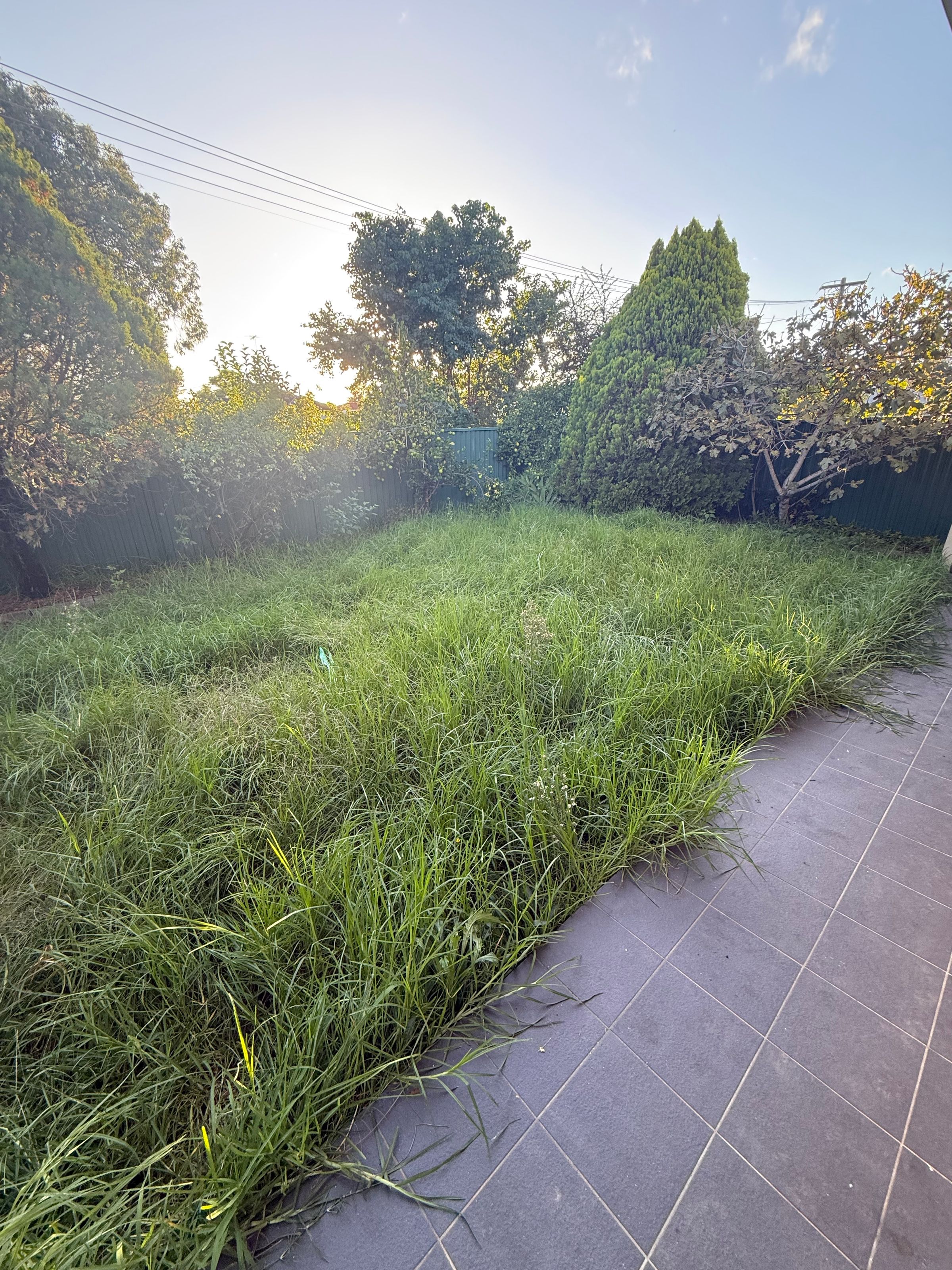 Streamline Shine | Lawn Care, Hedging & Gardening 's image