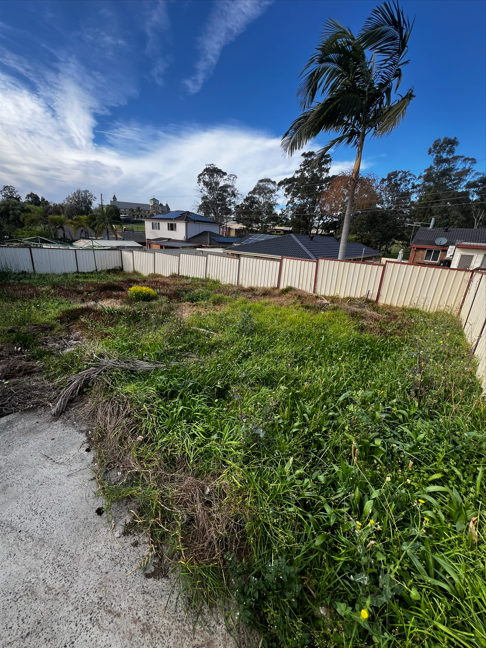 Streamline Shine | Lawn Care, Hedging & Gardening 's image