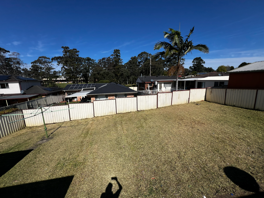 Streamline Shine | Lawn Care, Hedging & Gardening 's image