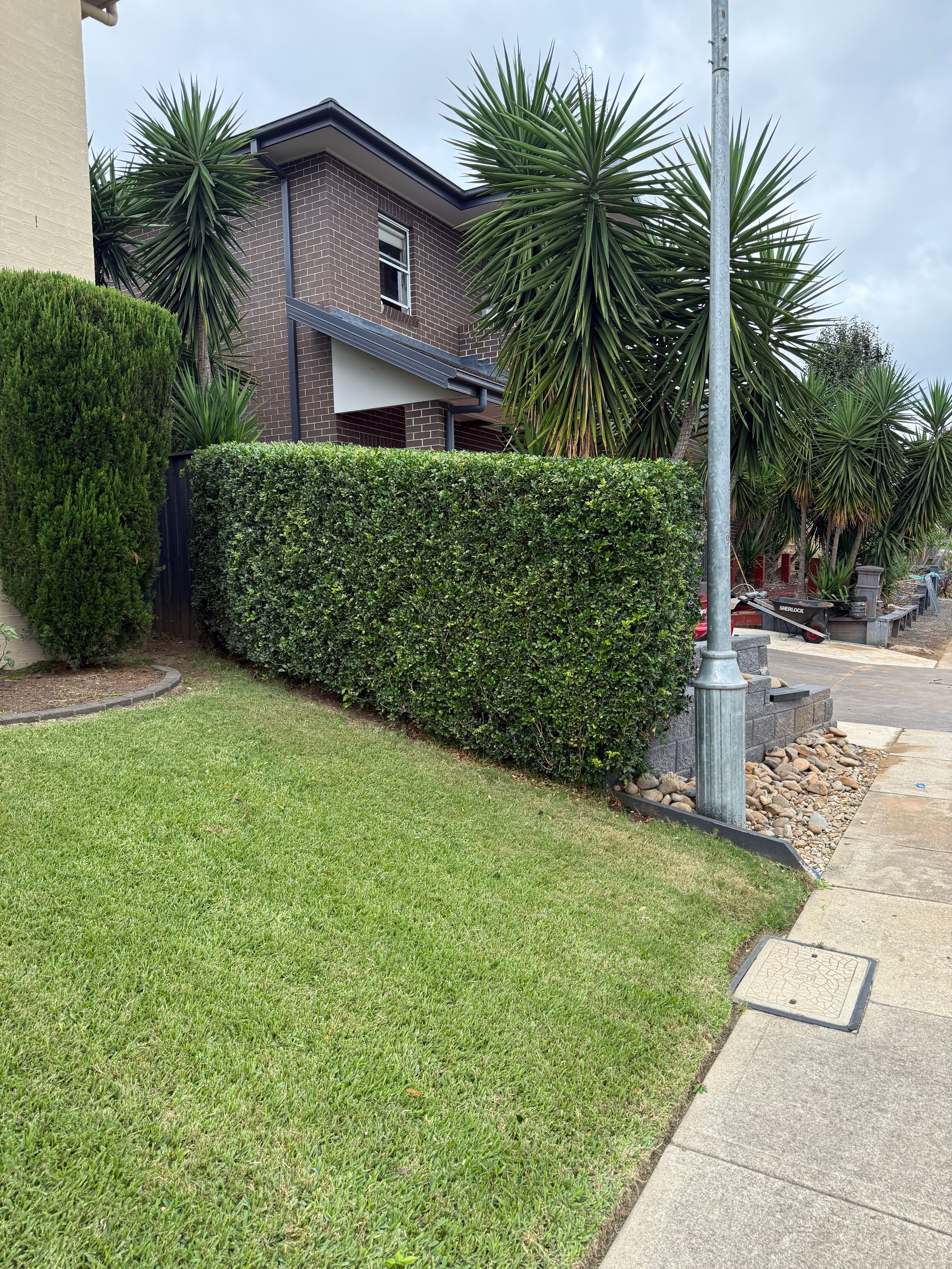 Streamline Shine | Lawn Care, Hedging & Gardening 's image