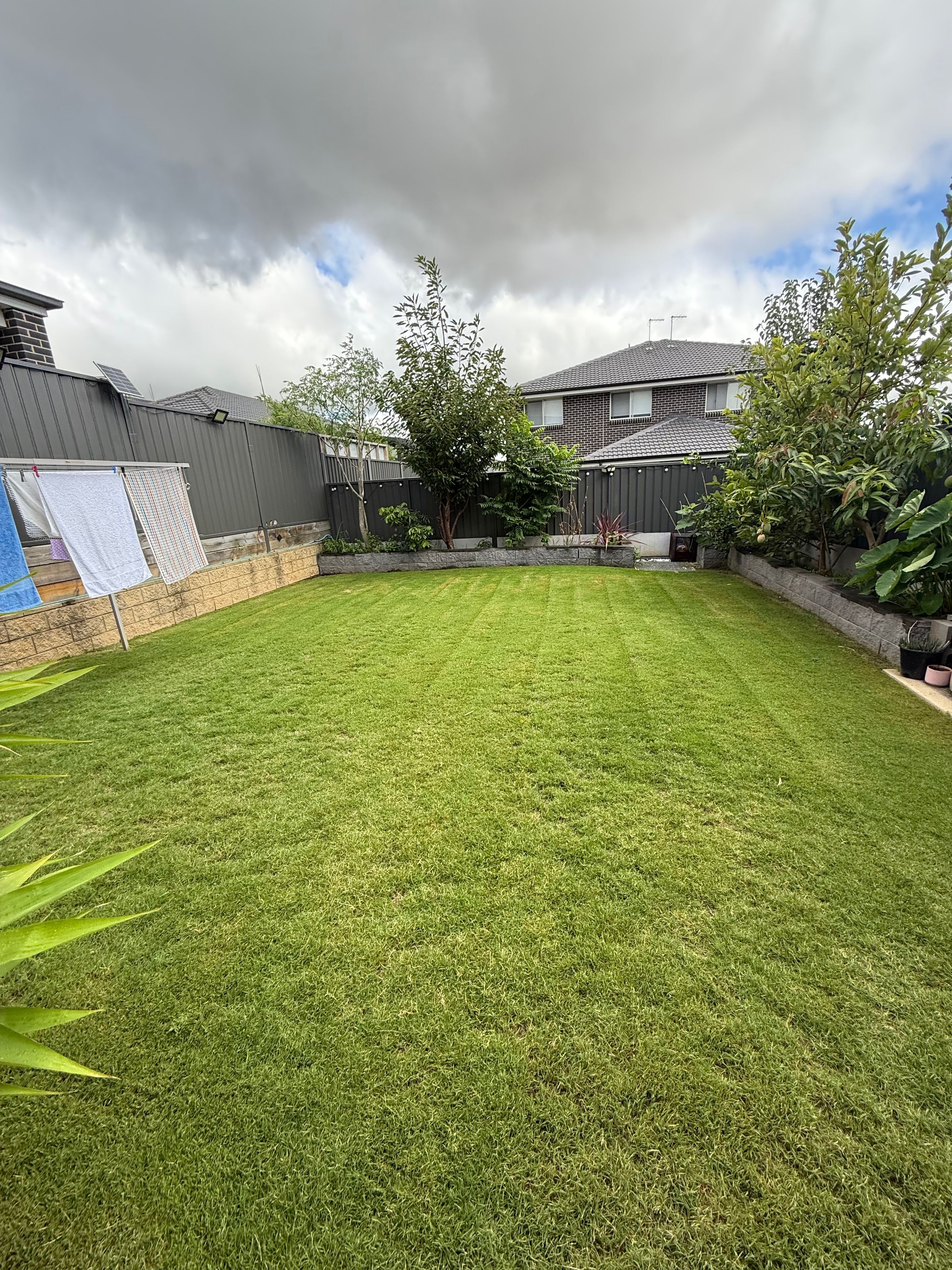Streamline Shine | Lawn Care, Hedging & Gardening 's image