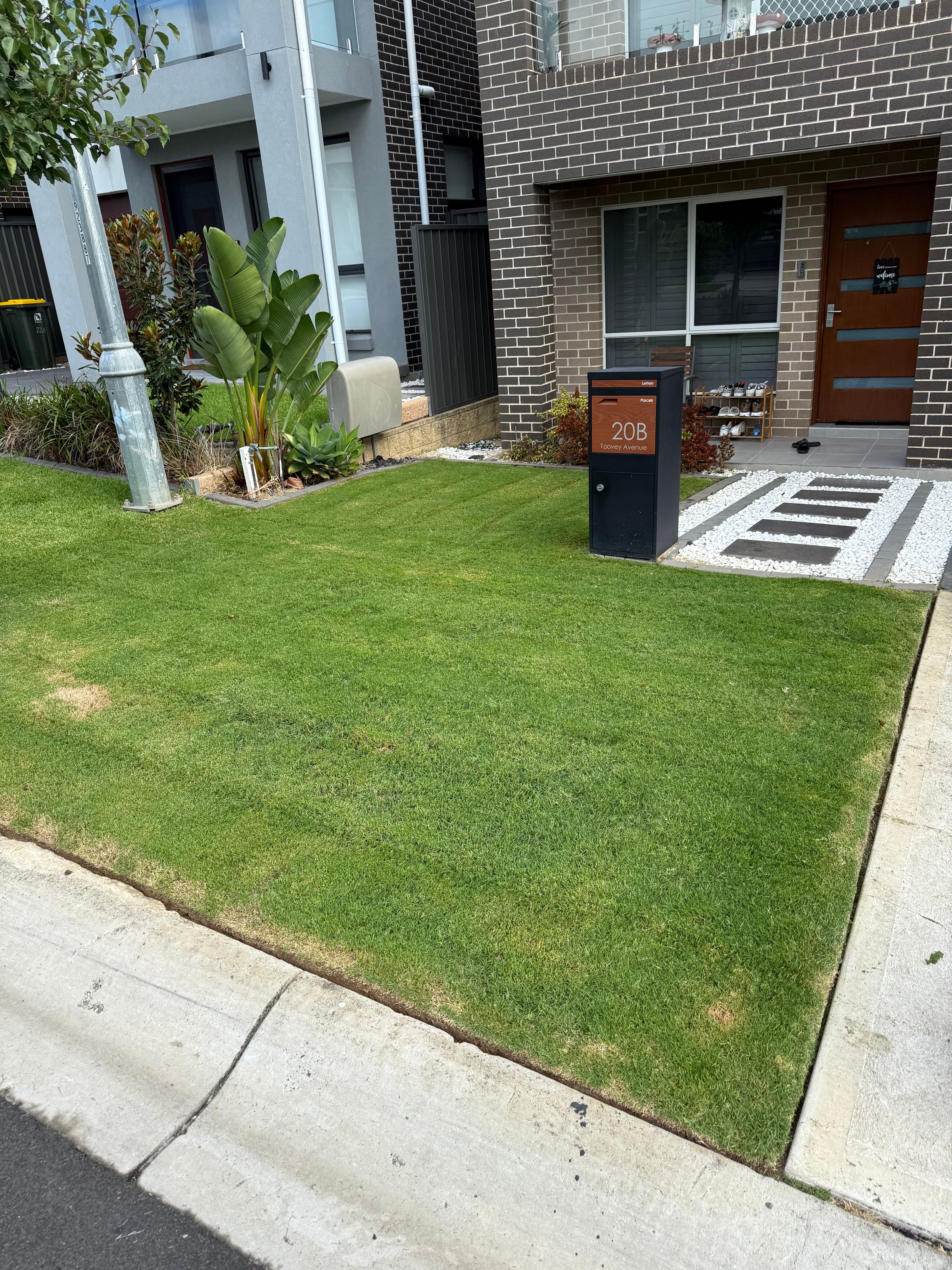 Streamline Shine | Lawn Care, Hedging & Gardening 's image