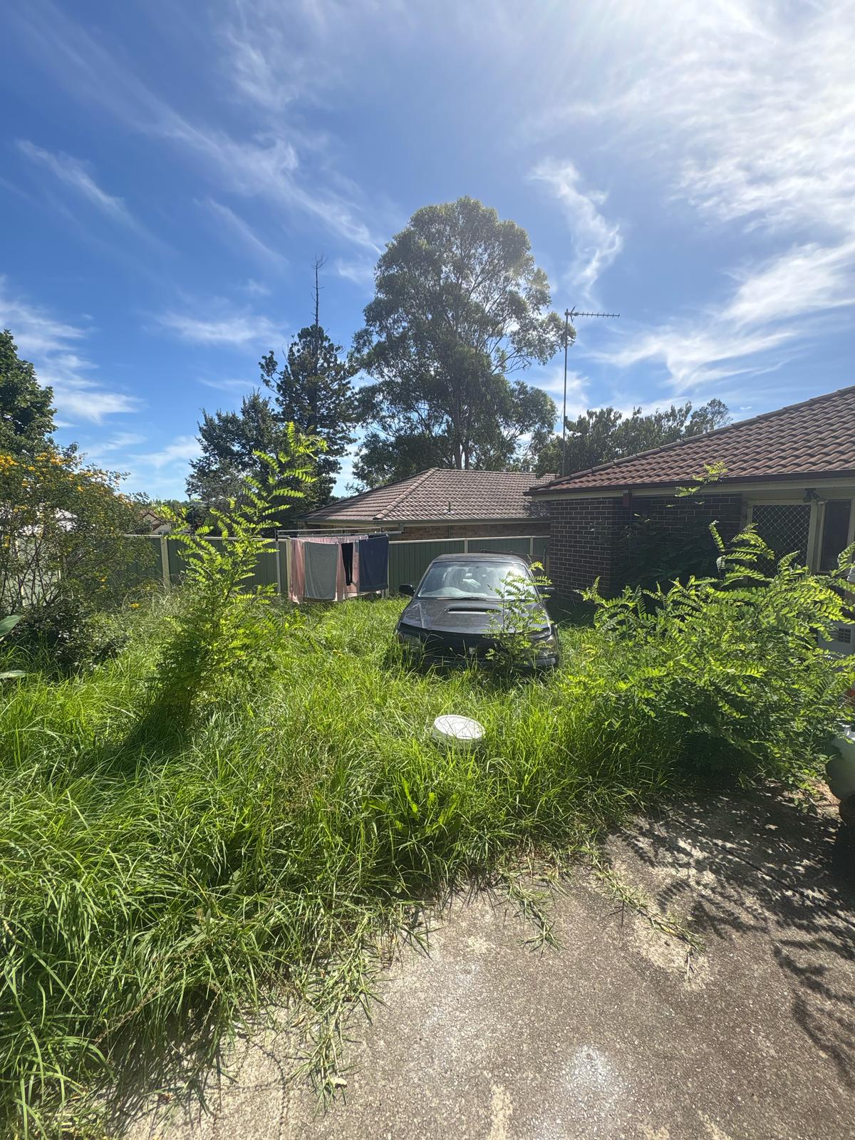 Streamline Shine | Lawn Care, Hedging & Gardening 's image